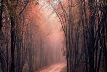 必赢官网：旗手宁忠岩：亚冬会是多元文化交流的平台2025-02-07.