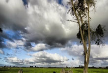 必赢官网：新加坡网球公开赛即将开打 多名世界前百女将参赛.