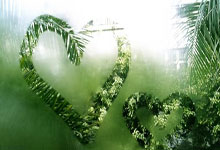 必赢官网：CBA官方罚单：山西外援迪亚洛竖中指侮辱性手势罚5万 主帅罚2万.