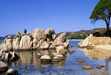 必赢官网：新加坡网球公开赛即将开打 多名世界前百女将参赛.